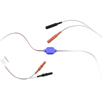 DM-121200.jpg