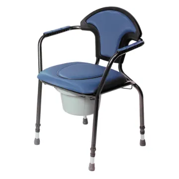 Herdegen Adjustable Commode Chair