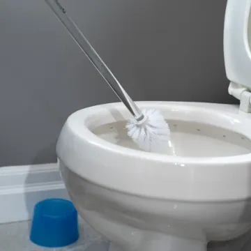 Parsons Long Handle Toilet Brush with Cup