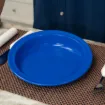 Parsons Scoop Plate