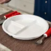 Parsons Plastic Divided Plate