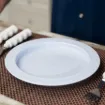 Parsons Inner Lip Plate